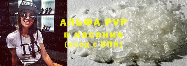 сатива Алзамай