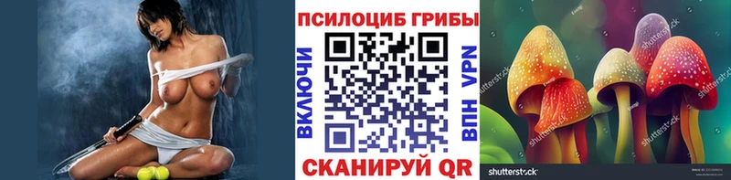 как найти наркотики  Орехово-Зуево  Галлюциногенные грибы Magic Shrooms 